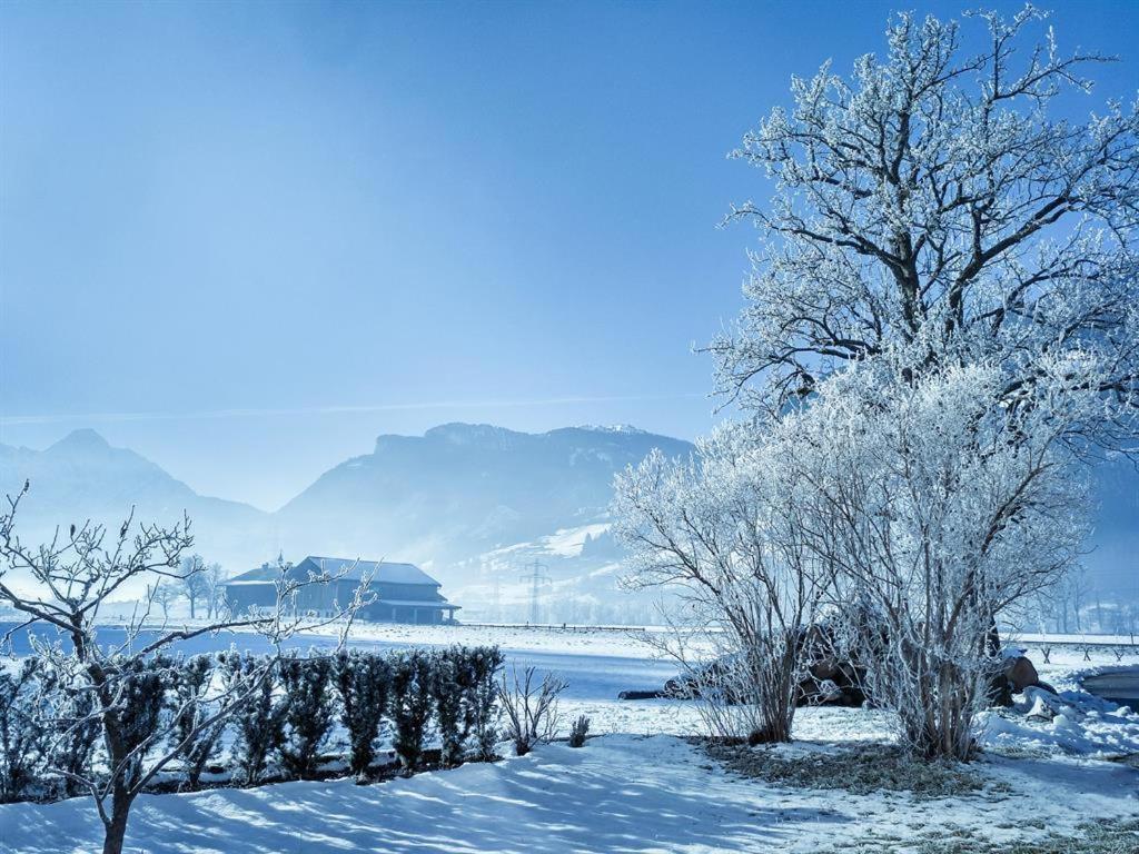Gaestehaus Hauser Hainzenberg Dış mekan fotoğraf