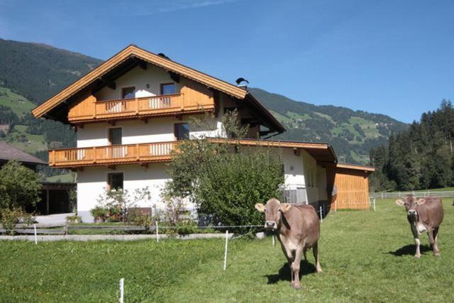 Gaestehaus Hauser Hainzenberg Dış mekan fotoğraf